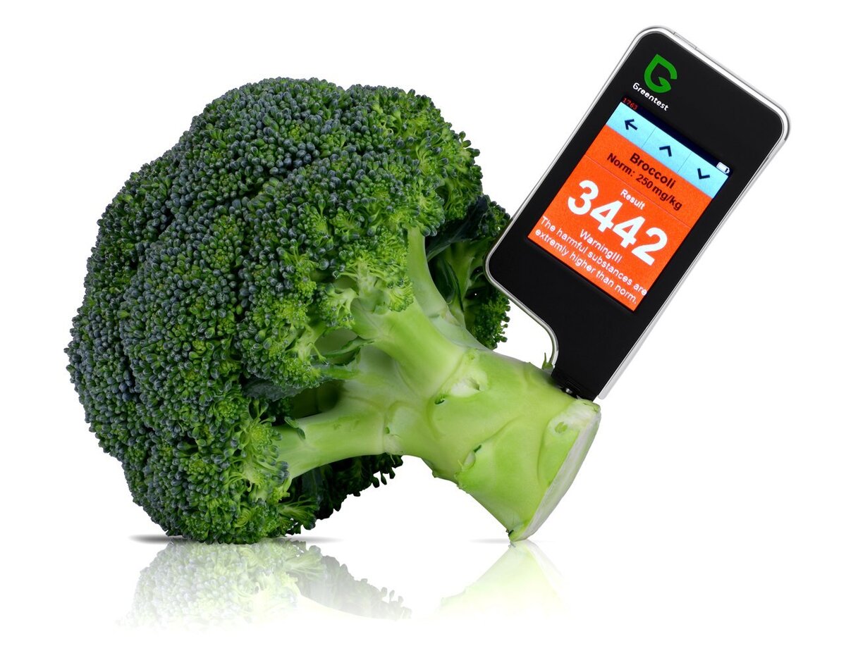 Ссылка на источник изображения: https://clck.ru/sNgFD