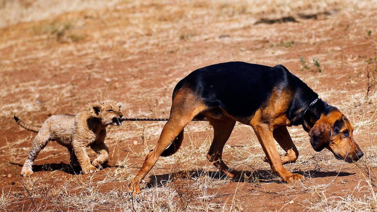 Фото: СТЮ ПОРТЕР