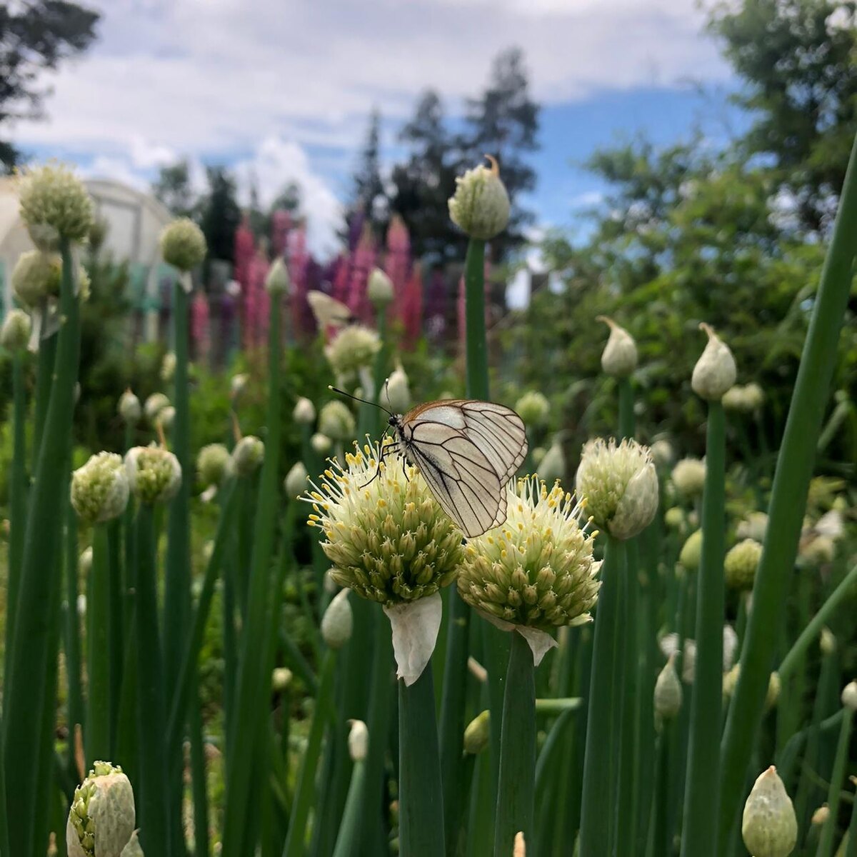 Личное фото 