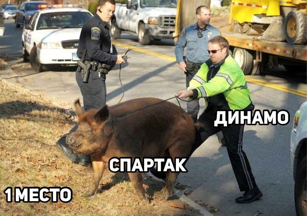 Что грозит животным