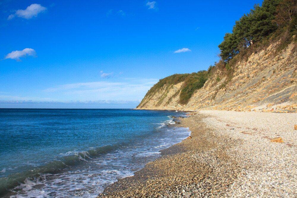 Яндекс. Картинки