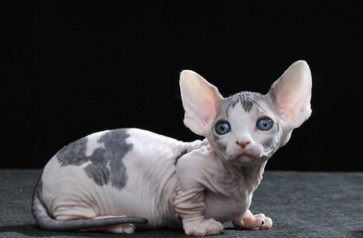 Фото заимствовано из Яндекс.Картинки. Листай дальше →