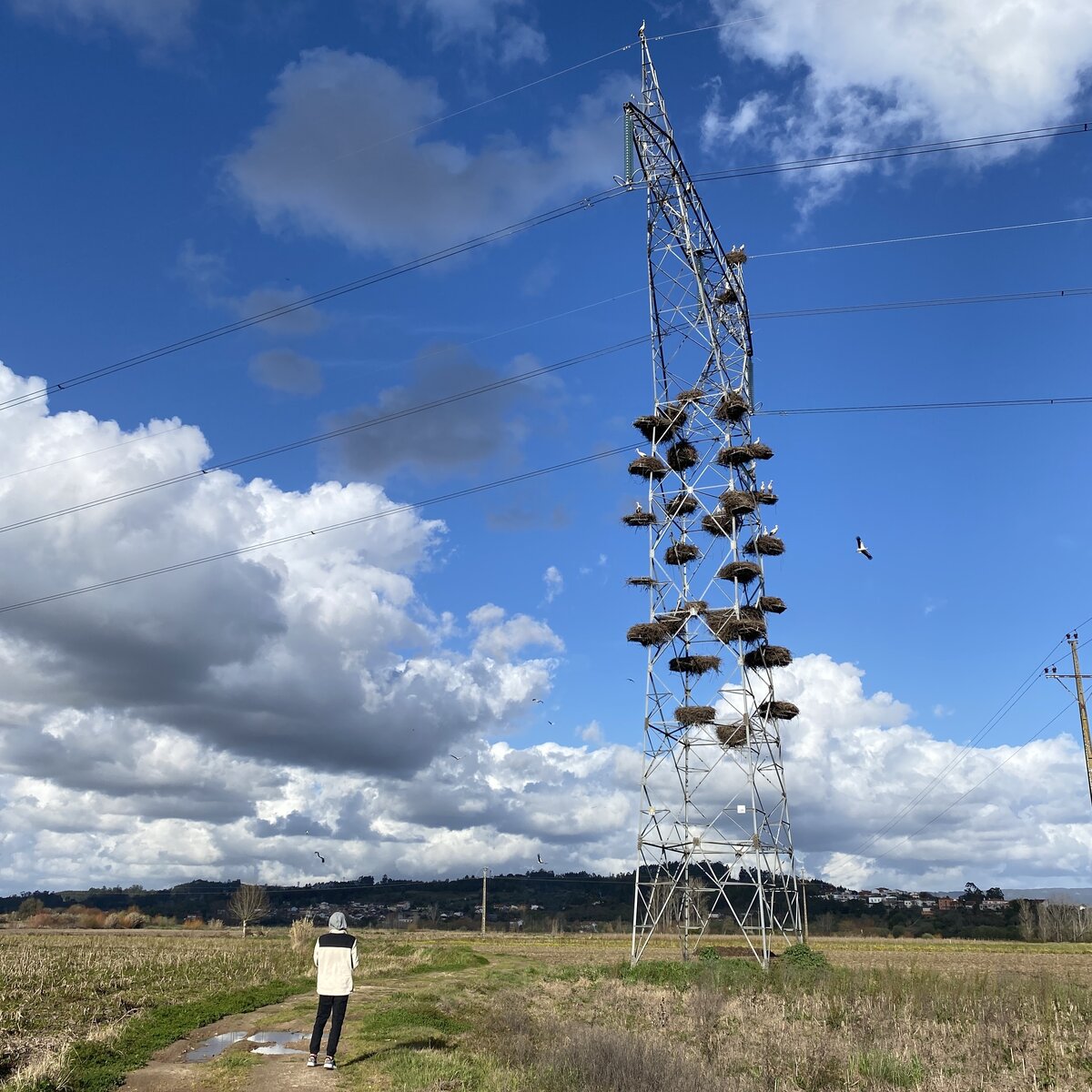 Коммунальная квартира