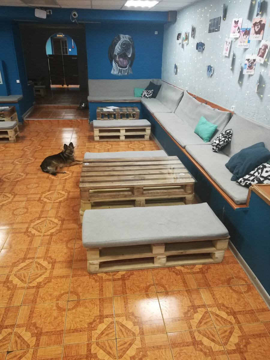 Всем посетителям выдают сменную обувь, поэтому полы там всегда чистые