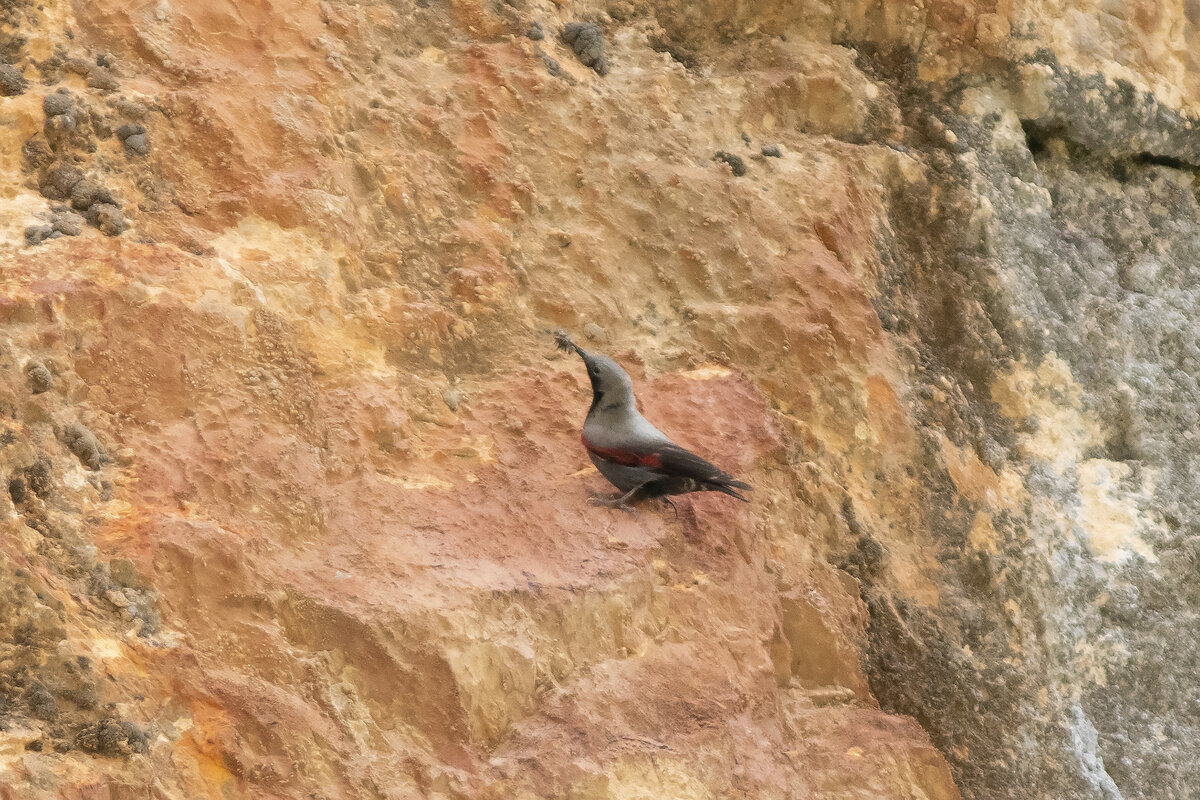 Фото автора. Киргизия, июнь2022