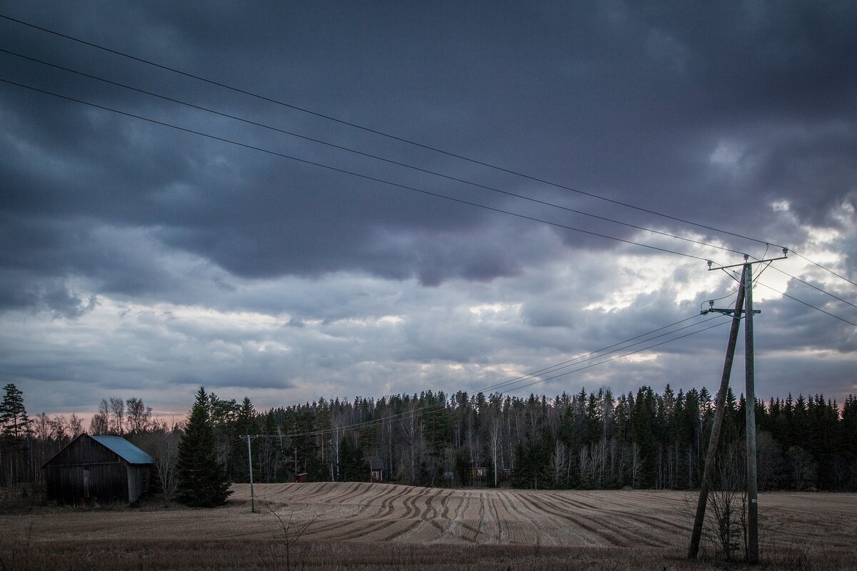 Фото: pixabay.com