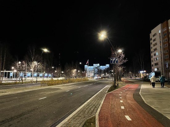     Фото: Telegram Алексей Романов