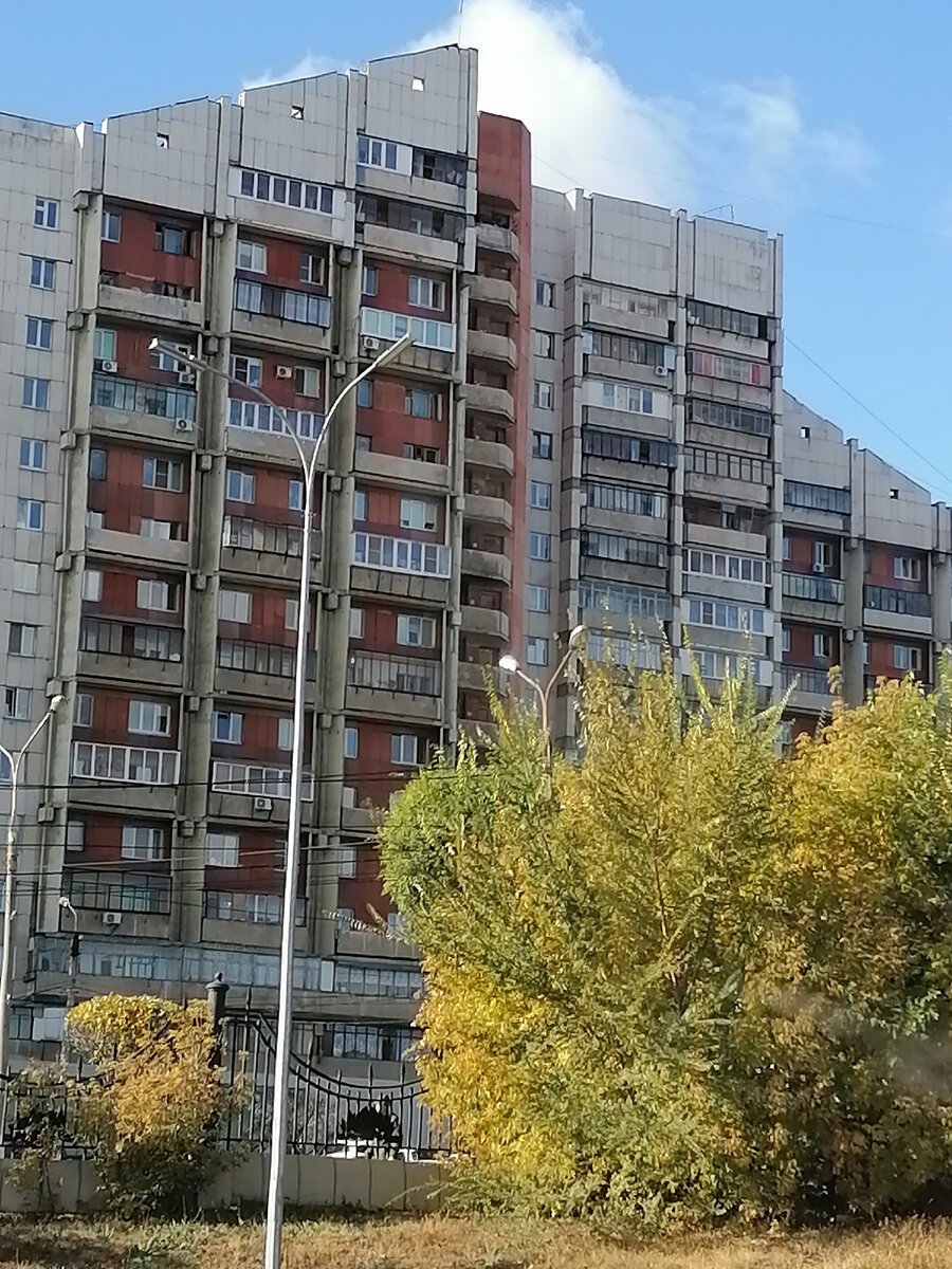 Личное фото автора 