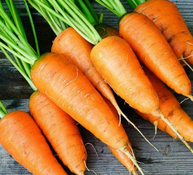 Фотография взята из источника vosadu-li-vogorode.ru