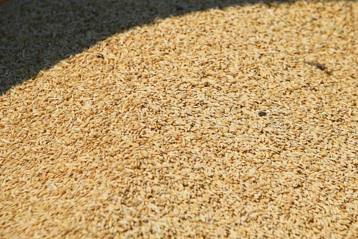 ©  Дмитрий Дадонкин/ТАСС