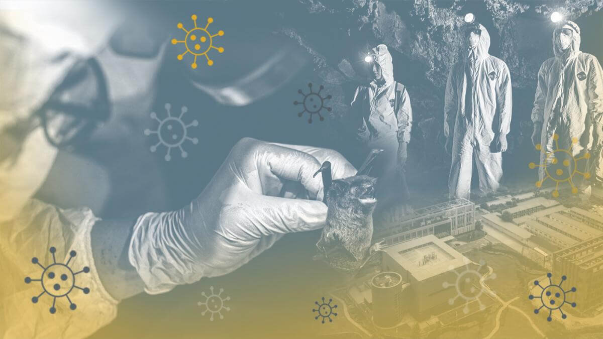    Ученые создали новый, более заразный вариант коронавируса