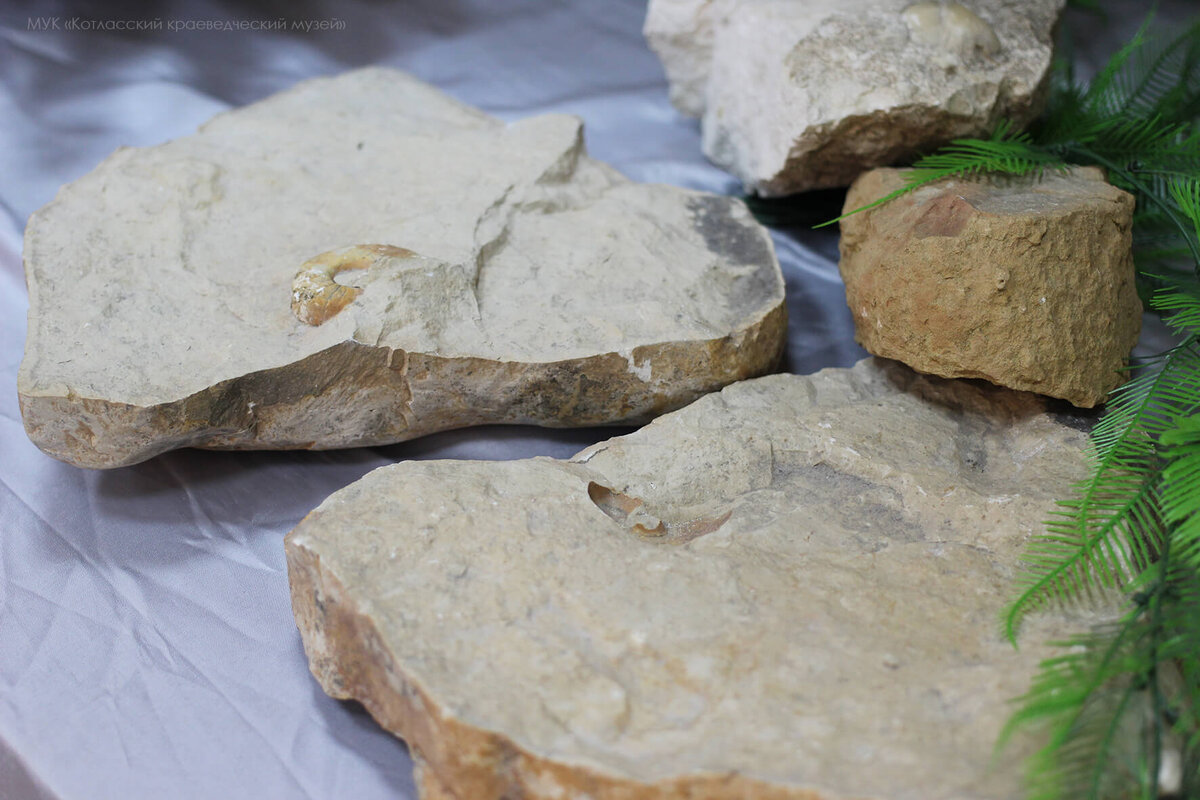 Фото Котласского краеведческого музея