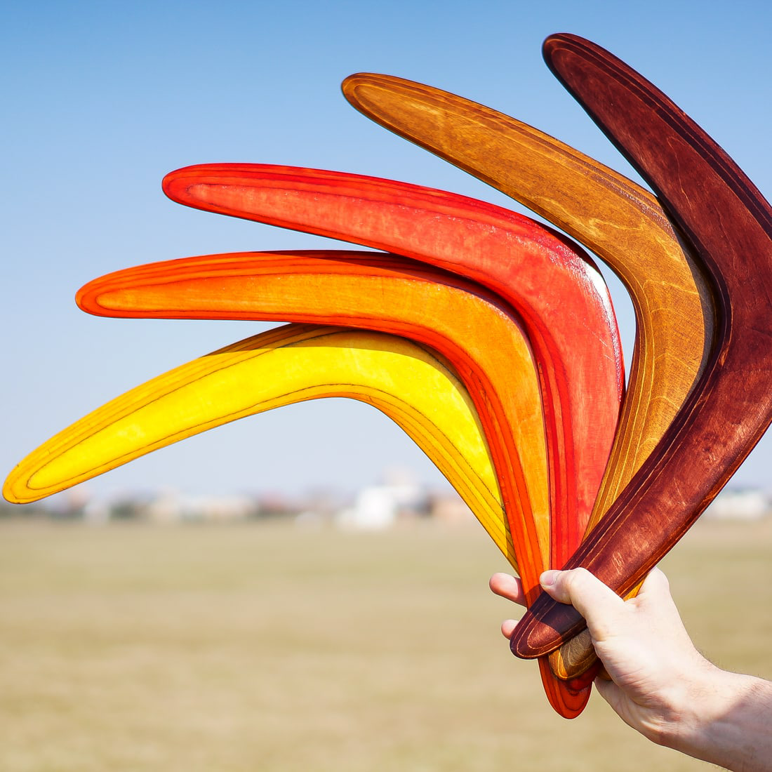 Бумеранг, который игрушка. Фото взято из интернета в иллюстративных целях.