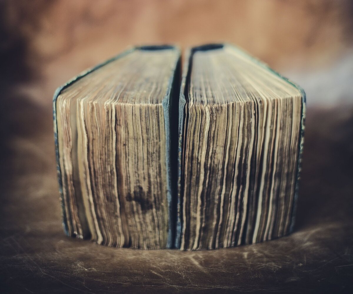 2. Photo by Kiwihug on Unsplash