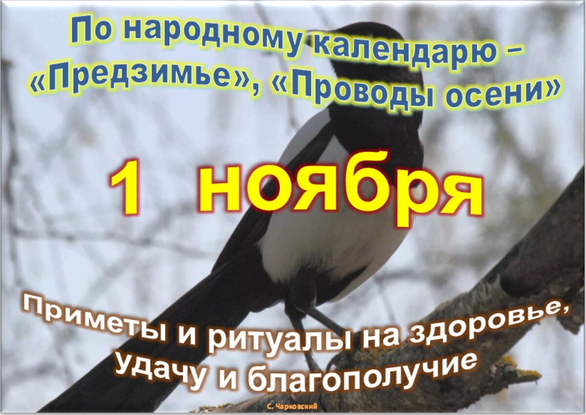 праздники в ноябре картинки для детей. приколы про ноябрь в картинках. иванов день народный календарь. 1 ноября народный календарь. с 1 ноября картинки.