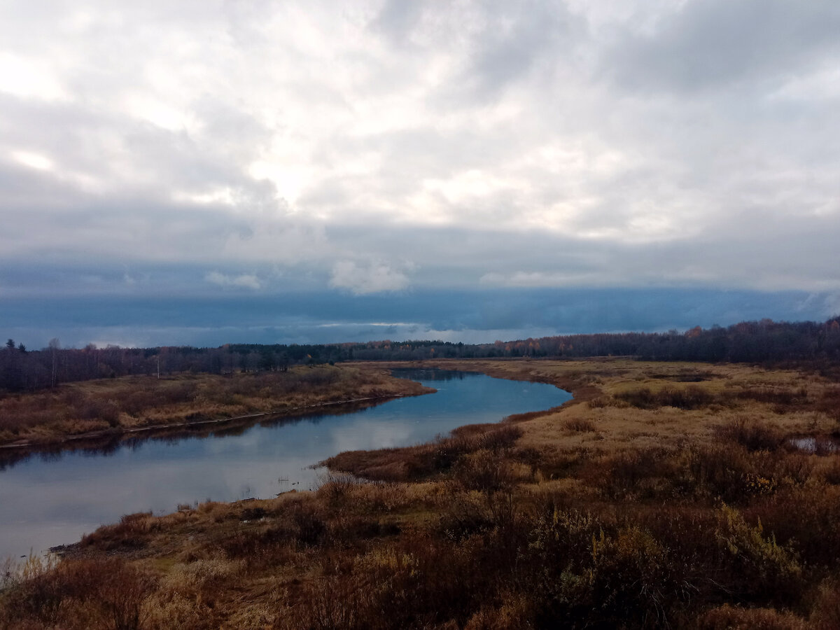 Осенняя река... Молога, Устюженский район.
