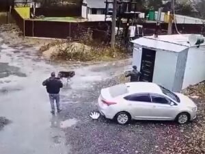    Фото: кадр из видео Анита Ким