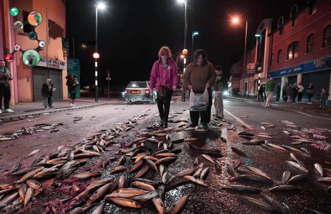 рыбный дождь рыбалка симулятор. рыбный дождь много денег. рыбный дождь рыбалка симулятор. рыбный дождь много денег. рыбалка взлом.