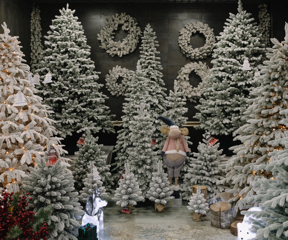 Выбирайте свою новогоднюю красавицу!