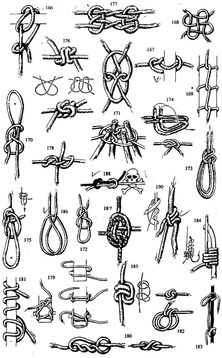 Морские узлы (фото из Интернета)