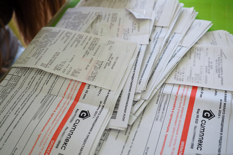 Фото: Виталий Невар / Новый Калининград