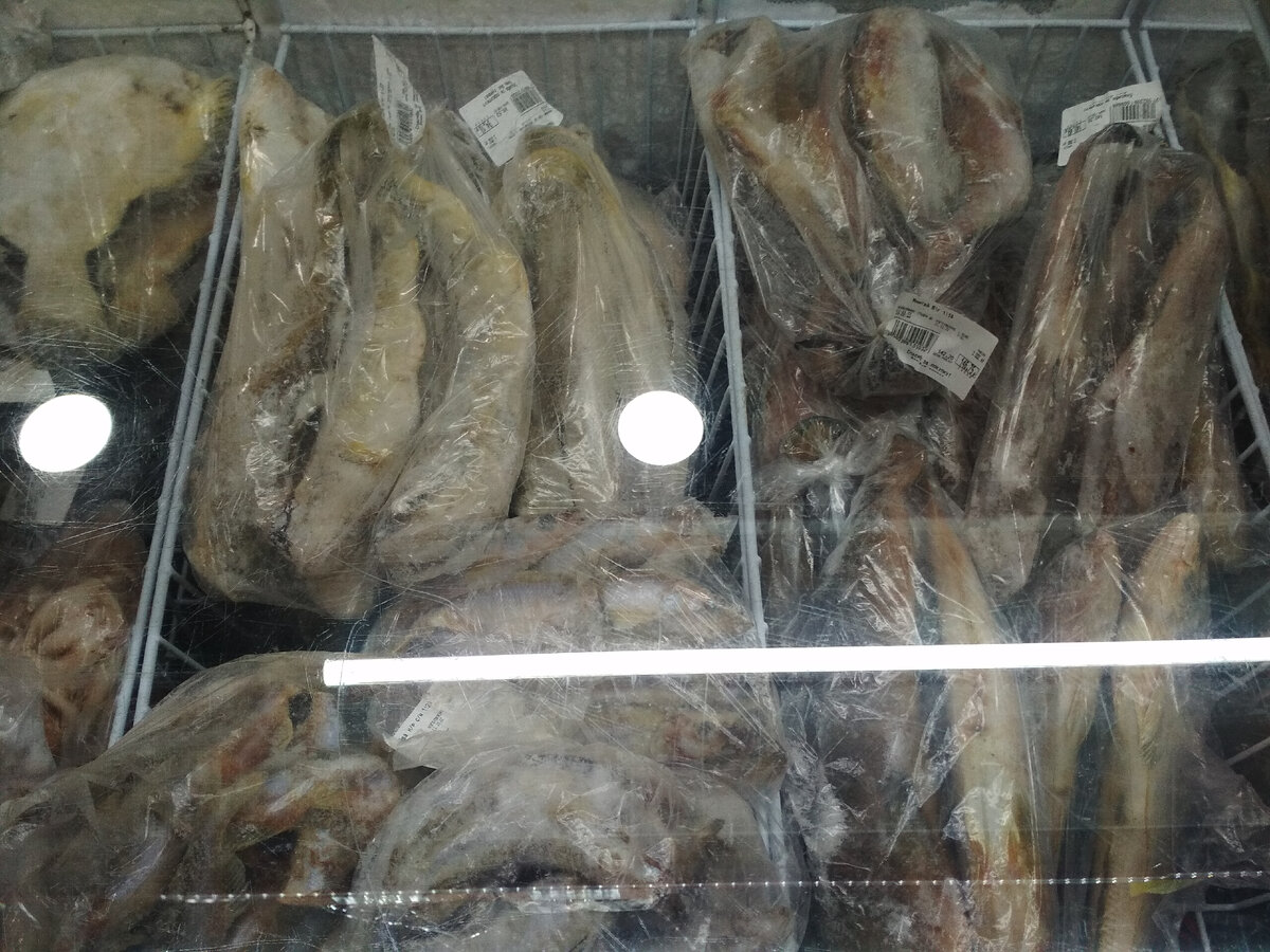 Фото автора. Холодильный ларь со свежемороженой рыбой.
