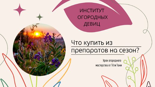 Что купить из препаратов на сезон?