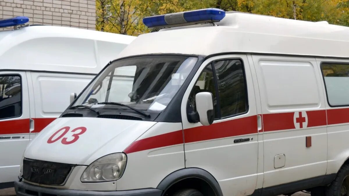 Фото: pxhere.com