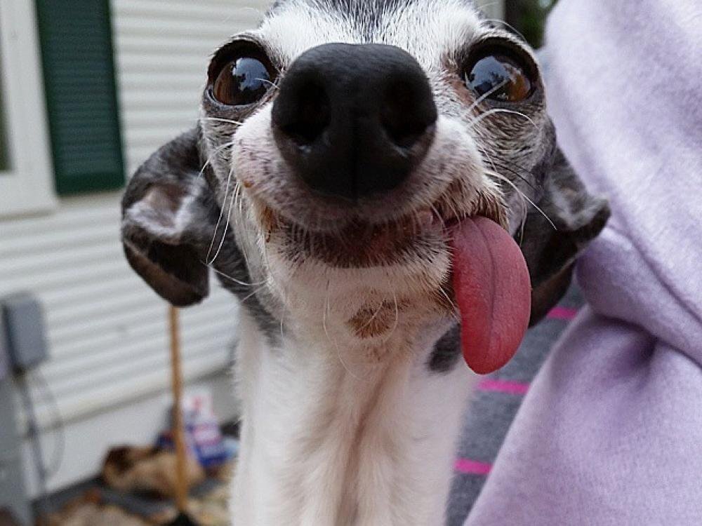 Внимание, улыбочка