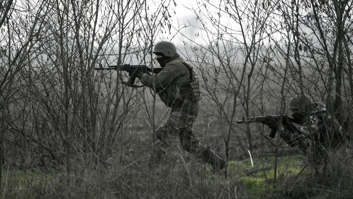    Военнослужащий на Запорожском направлении© РИА Новости / Константин Михальчевский