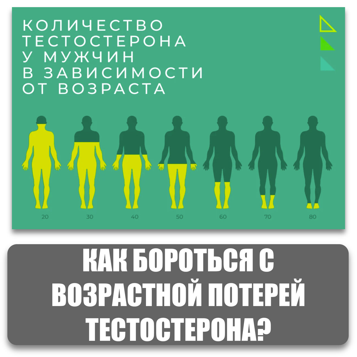 Влияние физических упражнений на анаболические гормоны в пожилом возрасте |  Спортивная нутрициология | Дзен