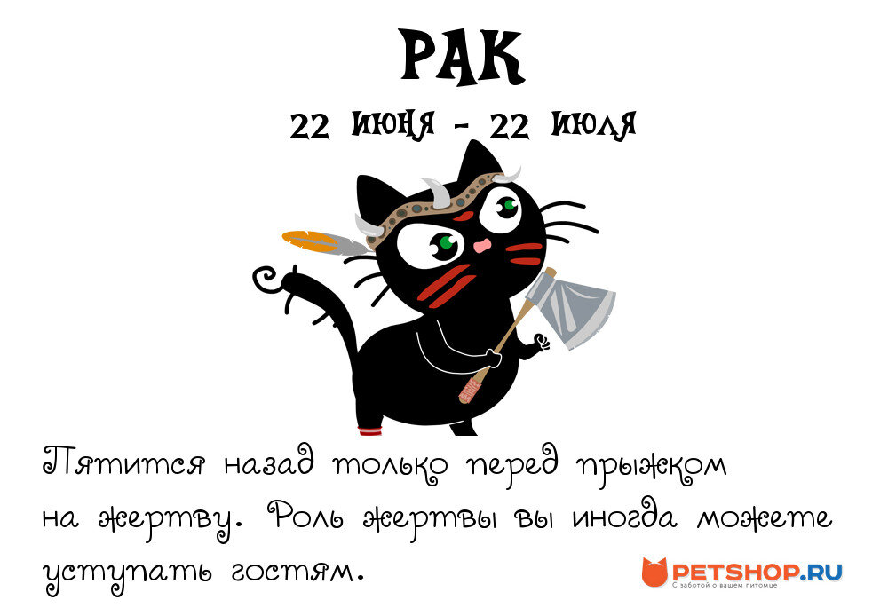 кот по гороскопу. животное по знаку зодиака. коты знаки зодиака. знаки зодиака по котам. коты подходят знакам зодиака.