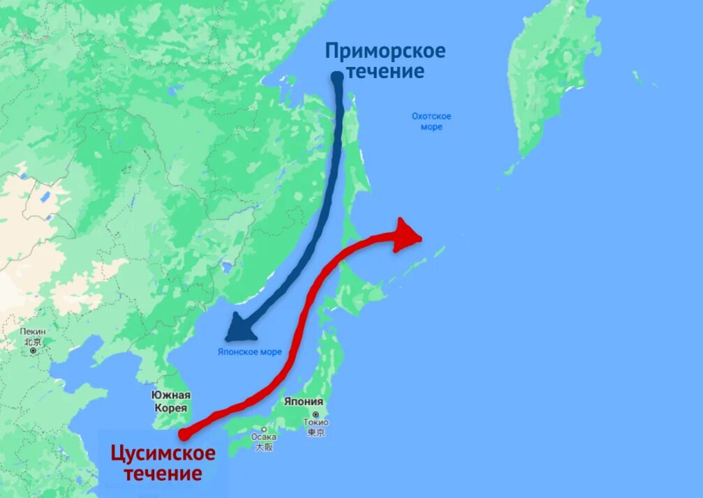 Вокруг течение. Сахалин течения. Проект соединения материка с Сахалином дамбой,. Цусимское течение Сахалин. Охотская дамба.