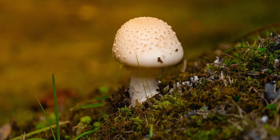 Фото: 123RF/exndiver