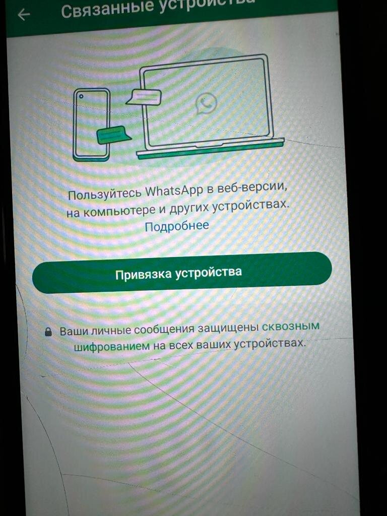 Спам рассылка в WhatsApp - проголосуй и пройди по ссылке - опасно! |  Изучаем Word | Дзен