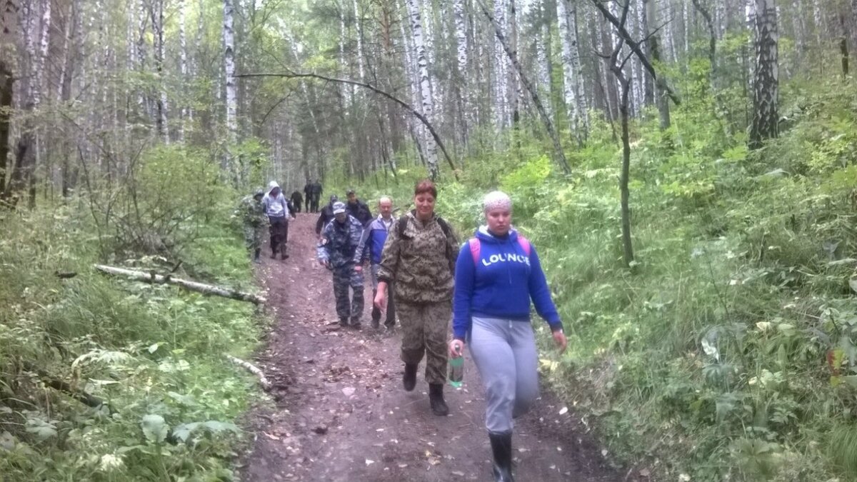Пенсионер пропал в лесу под Красноярском пять дней назад