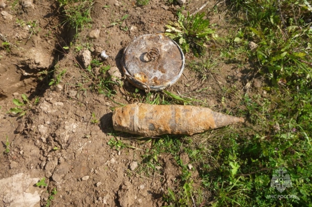    В Тверской области на берегу Волги были обнаружены взрывоопасные предметы