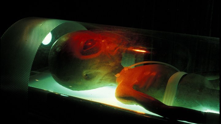 ФОТО: DANITA DELIMONT/GLOBALLOOKPRESS