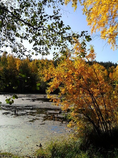 Щучье озеро, Екатеринбург (окрестности).