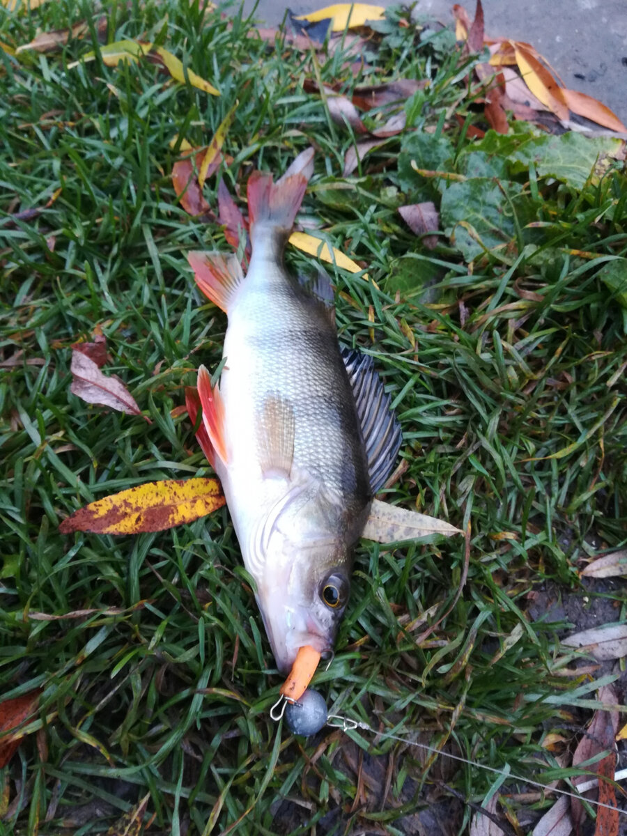 Палочка-выручалочка съедобный Unagi Slug от Lucky John. Обзор