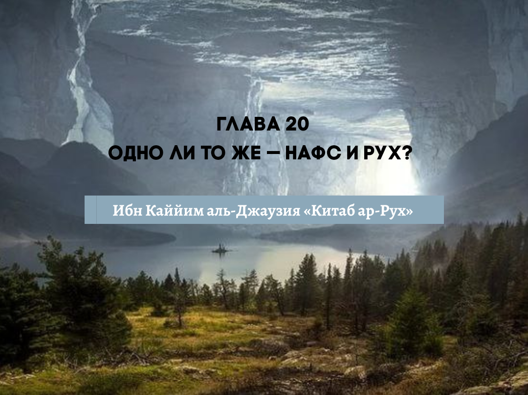 Глава 20. Одно ли то же – нафс и рух? | Muslimlife.Kz | Дзен