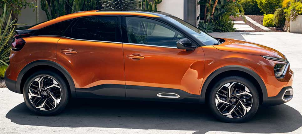 Источник фотографии: Яндекс. Картинки