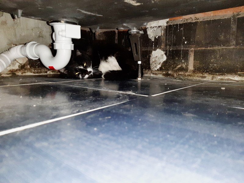 Центр зла в нашей квартире разместился под ванной, в нем поселился темный властелин - Шмон.