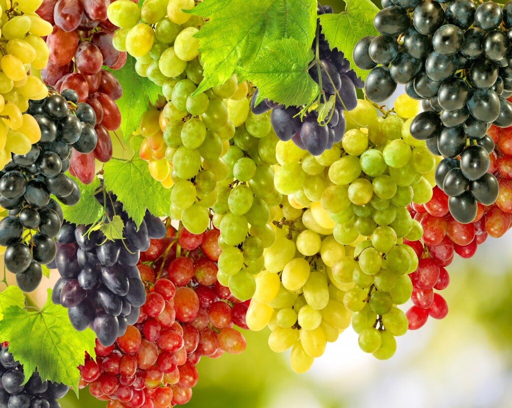 Виноград разный