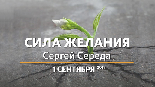 Сила желания | Сергей Середа | 01.09.2019