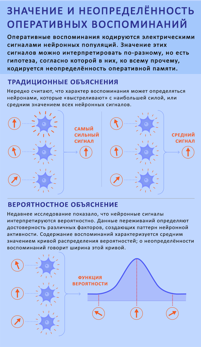 Нейронный шум говорит о неопределённости наших воспоминаний | XX2 ВЕК | Дзен