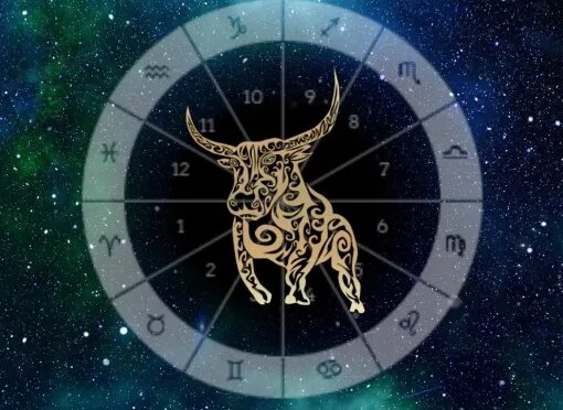 Фиксированный знак стихии Земли, созидатель и любвеобильный гурман,