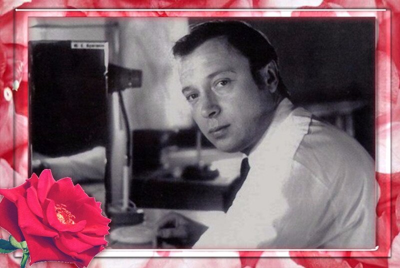 автор открытки Наталья Белякова.