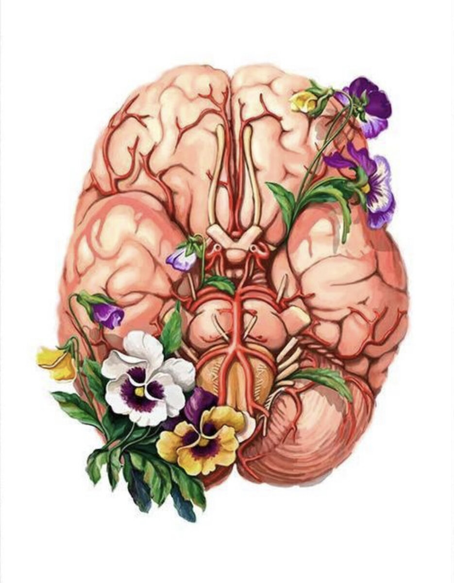 Мозг из цветов