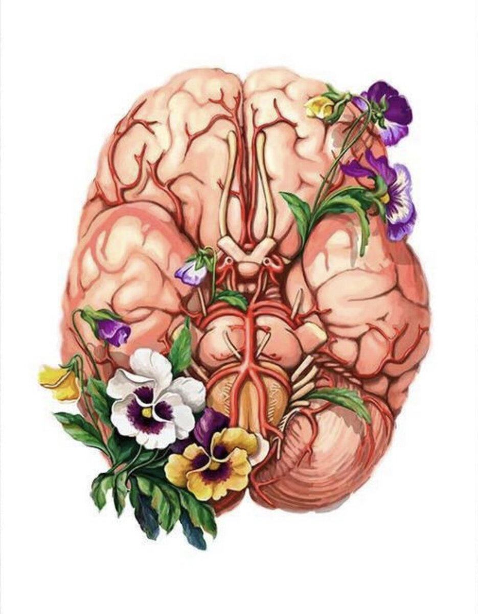 Сердца и головного мозга. Цветущий мозг. Мозг из цветов. Анатомия мозг с цветами. Мозг в цветах.